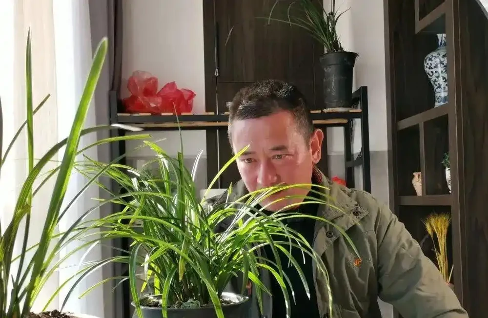 這樣的蘭花,還能恢復生機?蘭友都不敢相信了
