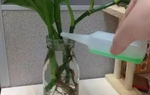 營養液怎麼用?