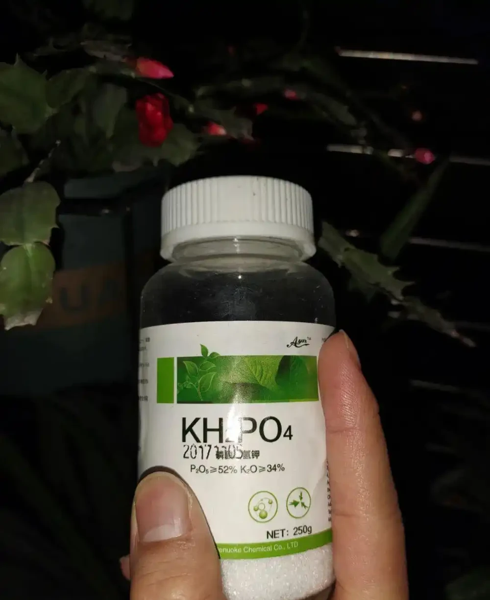 水溶性肥料使用指南，養花不求人，輕鬆學會完全版的施肥技巧