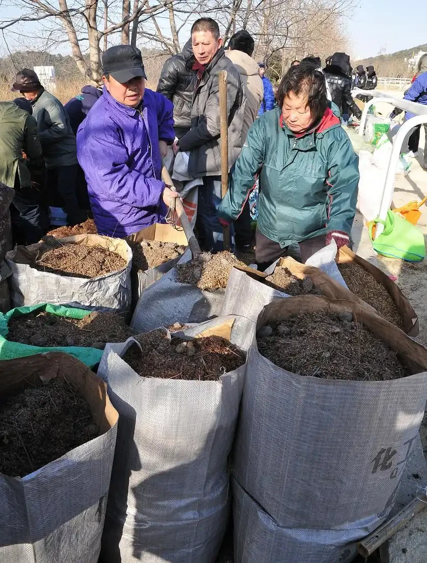 手把手教你製作五種土化肥，肥效比買得好太多，經濟環保又實惠