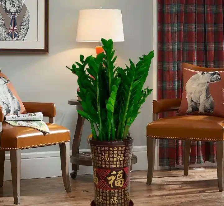 十樹進宅,兒孫有財!居家養樹,首選這10種,花美果多,寓意好