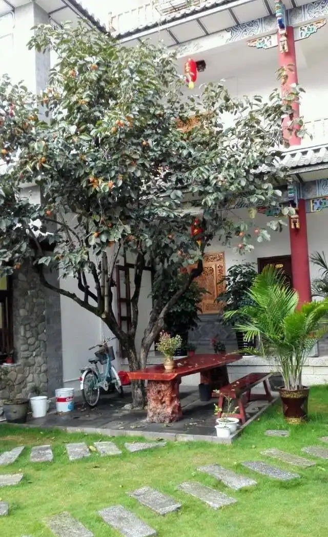 十樹進宅,兒孫有財!居家養樹,首選這10種,花美果多,寓意好
