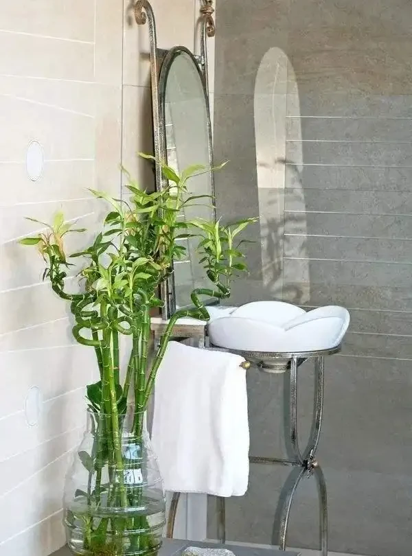 6種「洋氣花」，廁所裡養的旺，臭味吸光，衛生間變小花園