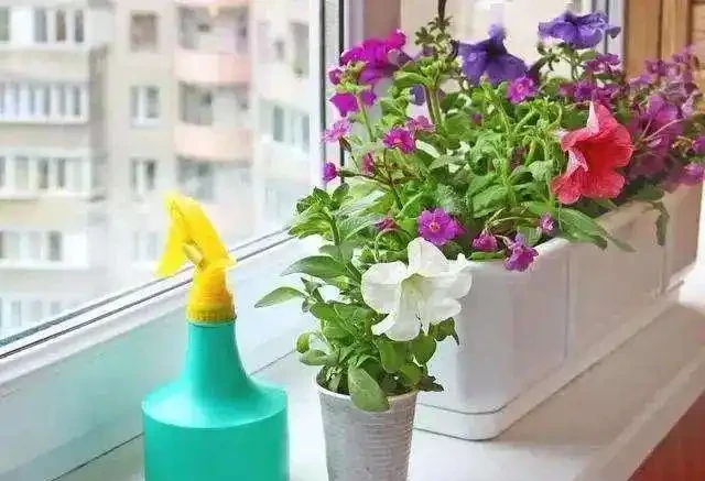 養花收藏版:花多多肥料,各種型號之間的區別,與使用技巧