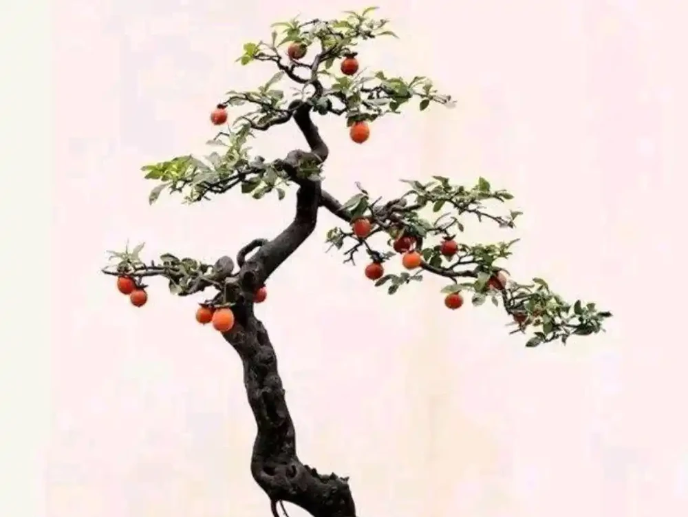 初春養金彈子,要想姿態美結果多,幾個操作別錯過