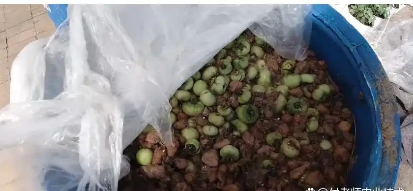 掌握3個方法，在家也能製作有機肥，簡單又實用