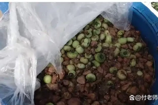掌握3個方法，在家也能製作有機肥，簡單又實用