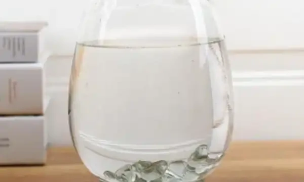 自來水靜置除氯氣後,倒入容器中