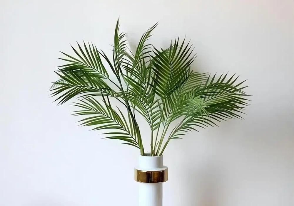 10種植物,適合養在客廳,有你喜歡的嗎?