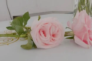 深水醒花泡一夜可以嗎
