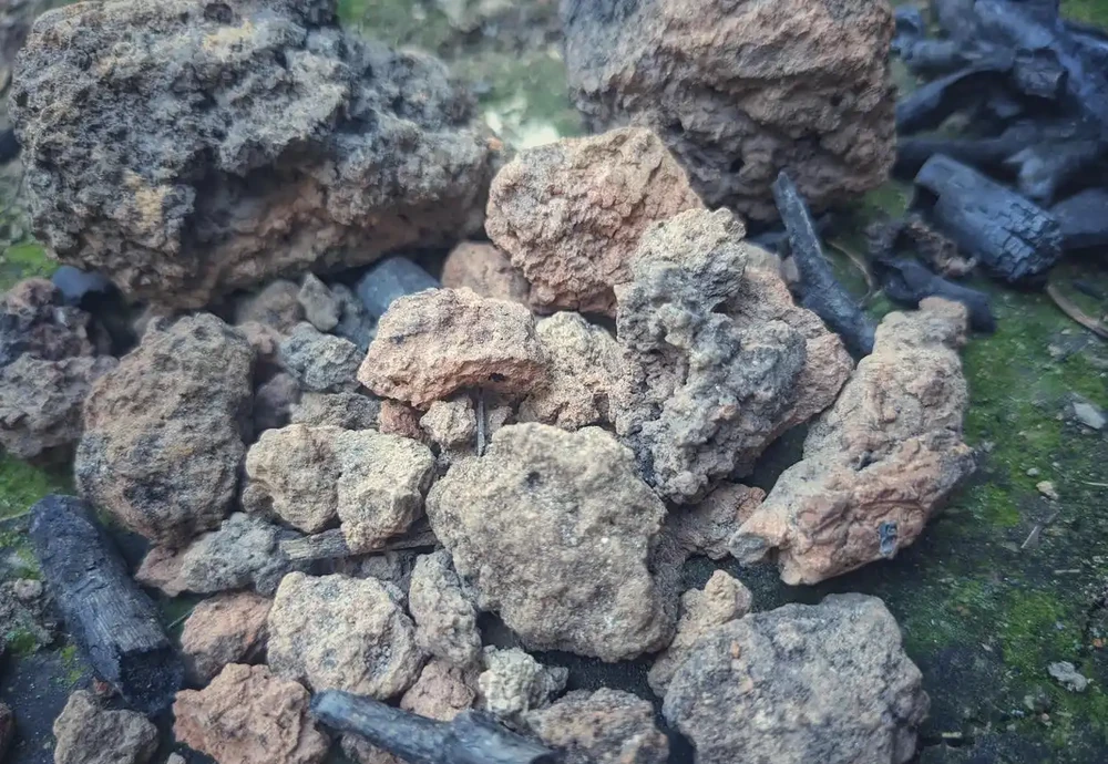 網紅植料仙土種蘭花，和山裡收集的植料做個對比，看看效果如何！