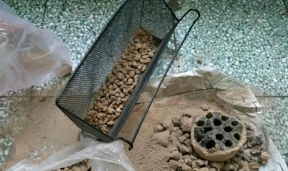 6種「小垃圾」,養花是個寶,花盆埋一把,呼呼開大花