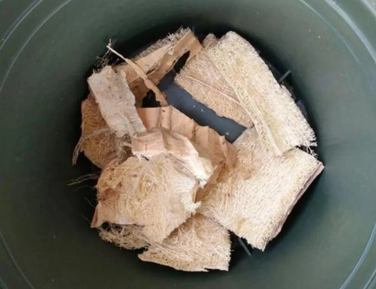 6種「小垃圾」,養花是個寶,花盆埋一把,呼呼開大花