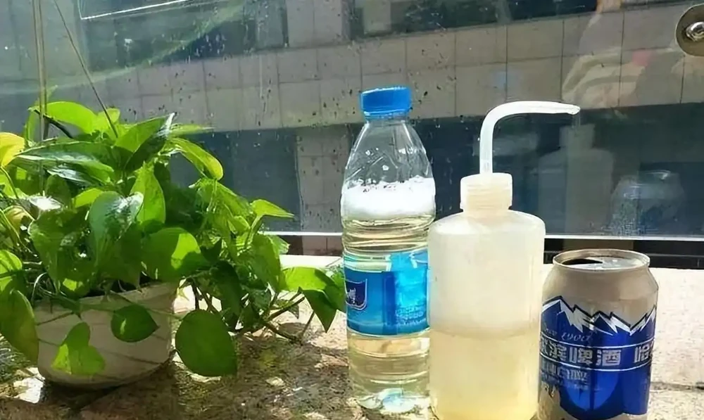 「淘米水」能不能用來澆花?很多人都搞錯了,難怪一直養不好