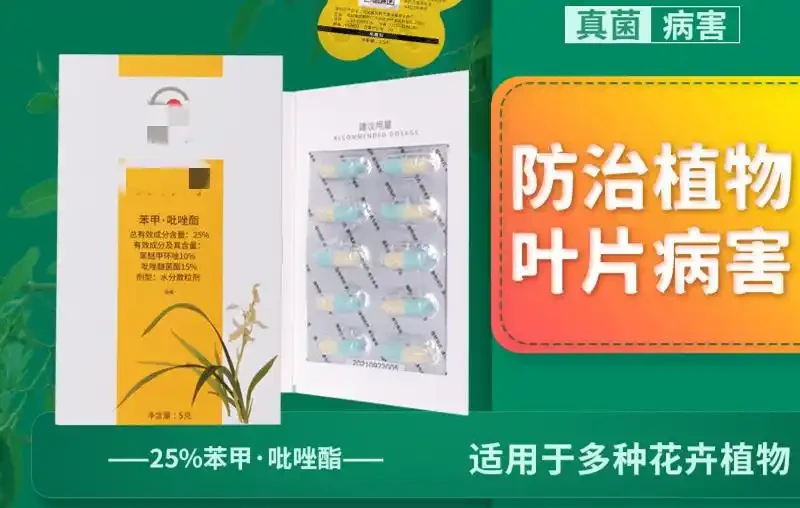 蘭花葉子上有黑點怎麼辦?5步解決,葉子油亮不黑斑