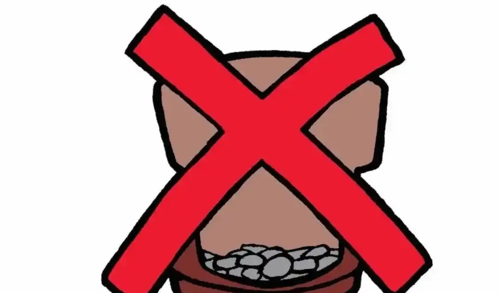 在土面和盆底都不要放石頭,更別做排水層,不然真是增加養花難度