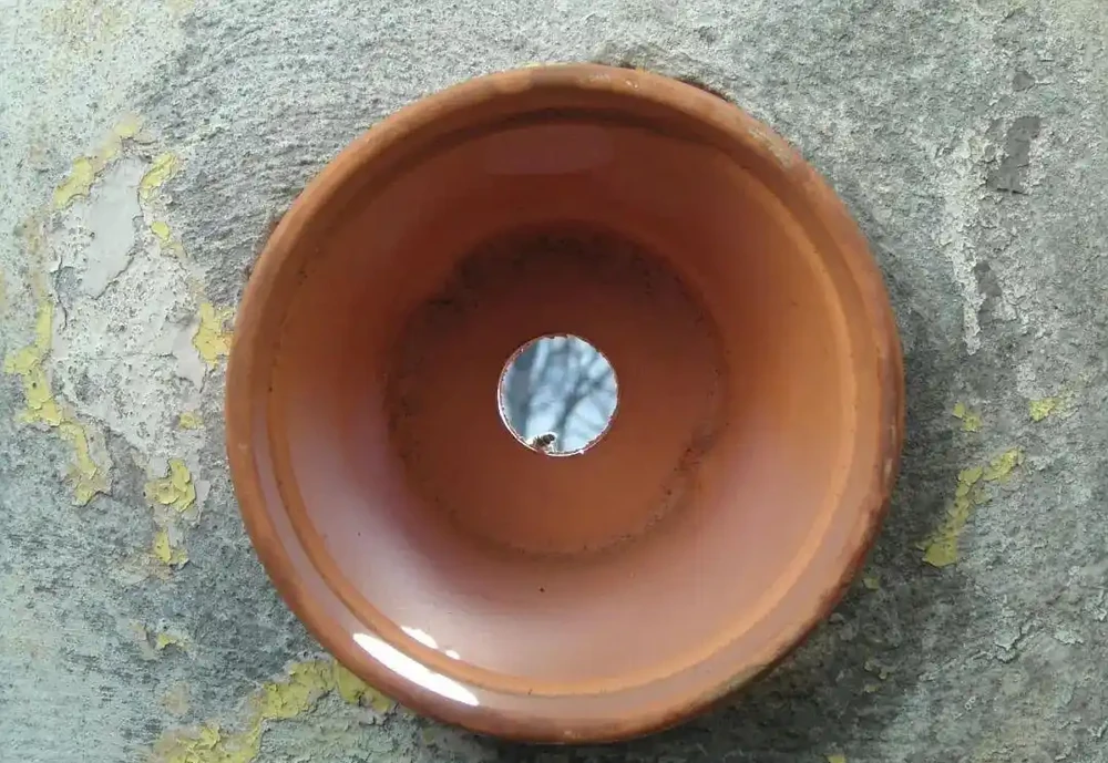 花盆底部有個特別大的排水孔,你都用哪些東西墊著呢?