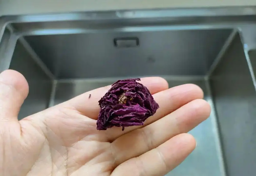 玫瑰花茶怎麼泡才正確?應該怎麼儲存?也許你第一步就錯了