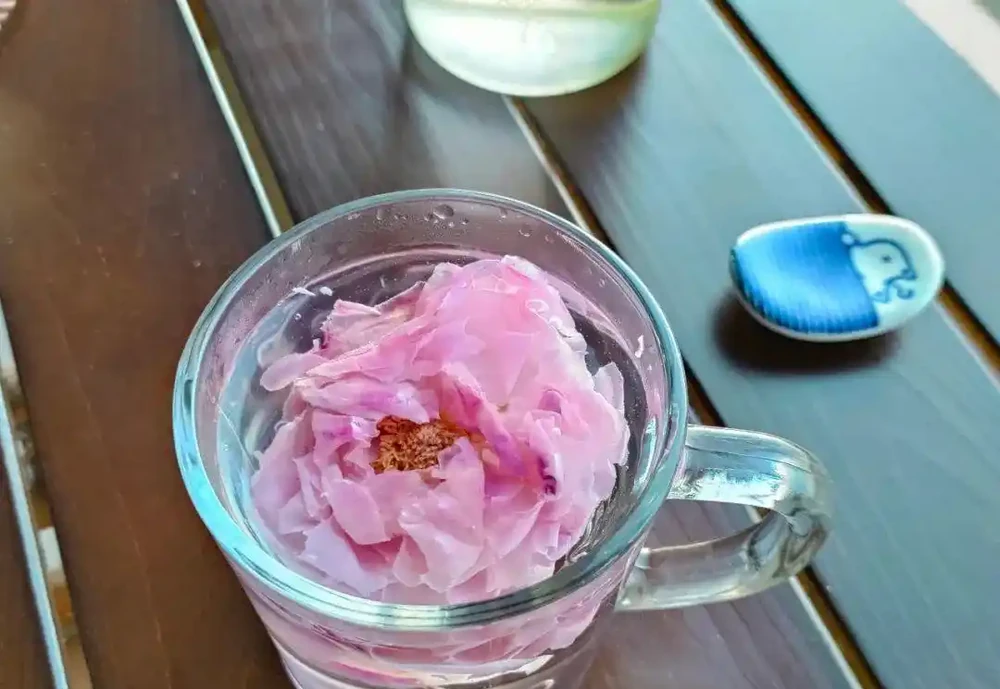 玫瑰花茶怎麼泡才正確?應該怎麼儲存?也許你第一步就錯了