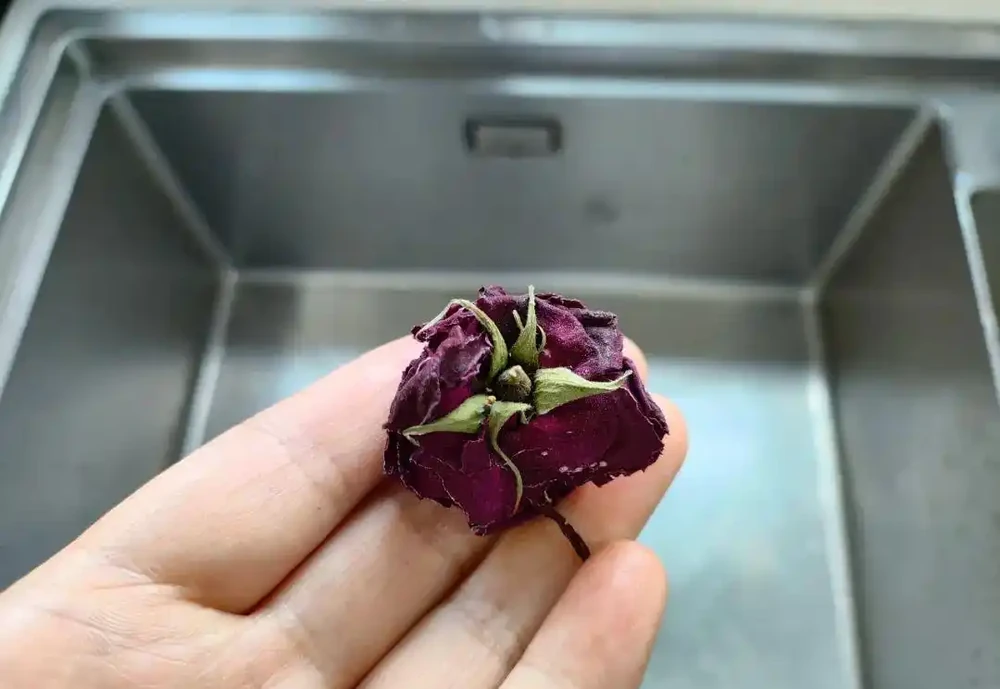 玫瑰花茶怎麼泡才正確?應該怎麼儲存?也許你第一步就錯了