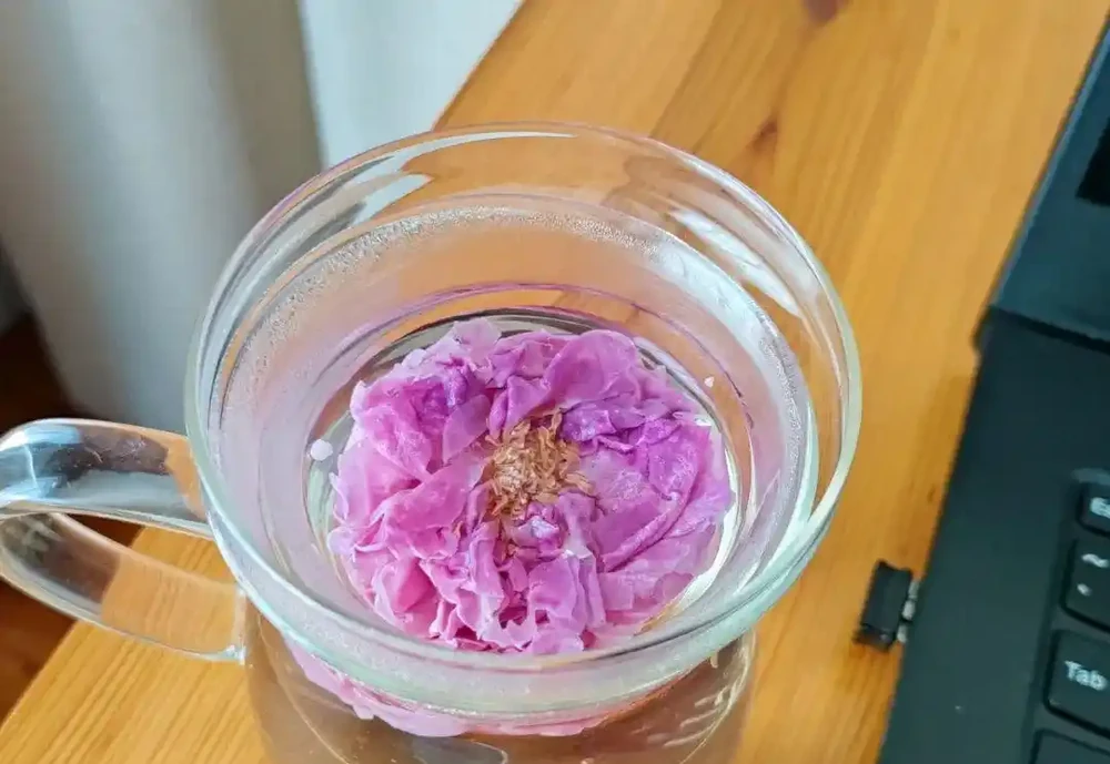 玫瑰花茶怎麼泡才正確?應該怎麼儲存?也許你第一步就錯了