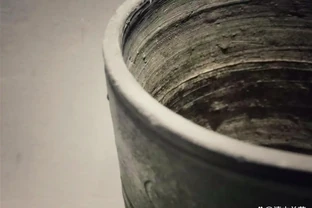 老手常用的五種腐葉土，任何蘭花都能養好，蘭友可以借鑑參考