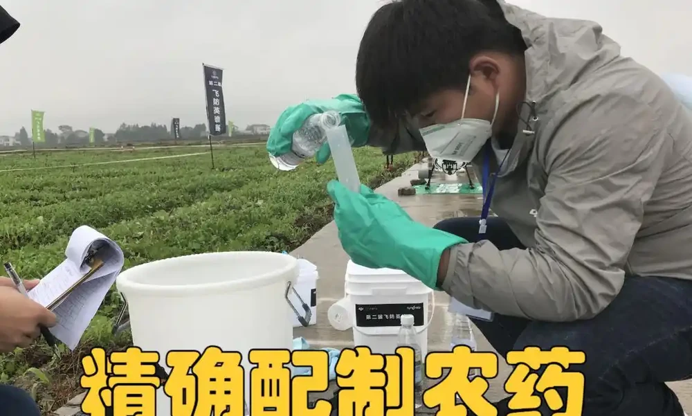 葉子出現「幹邊」現象,能治不?能與不能,關鍵還要看病害原因