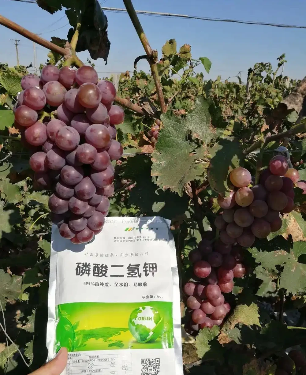 養花只澆水，就是「瞎胡鬧」，認清6種肥，養一萬盆花，都滿盆