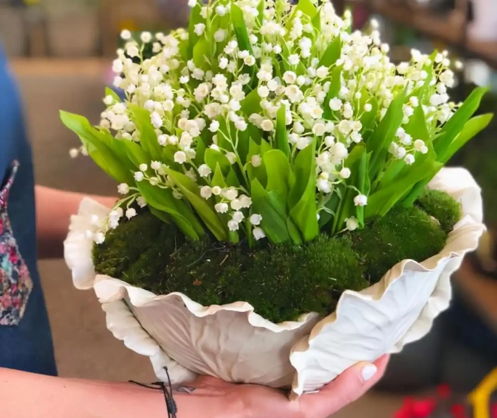 「最香的」7種花,花美「長壽命」,家裡養一盆,能香幾十年