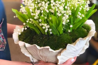 「最香的」7種花，花美「長壽命」，家裡養一盆，能香幾十年