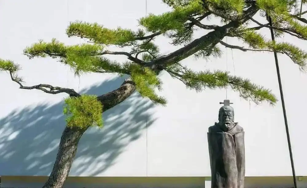 北方庭院常用的植物有哪些?