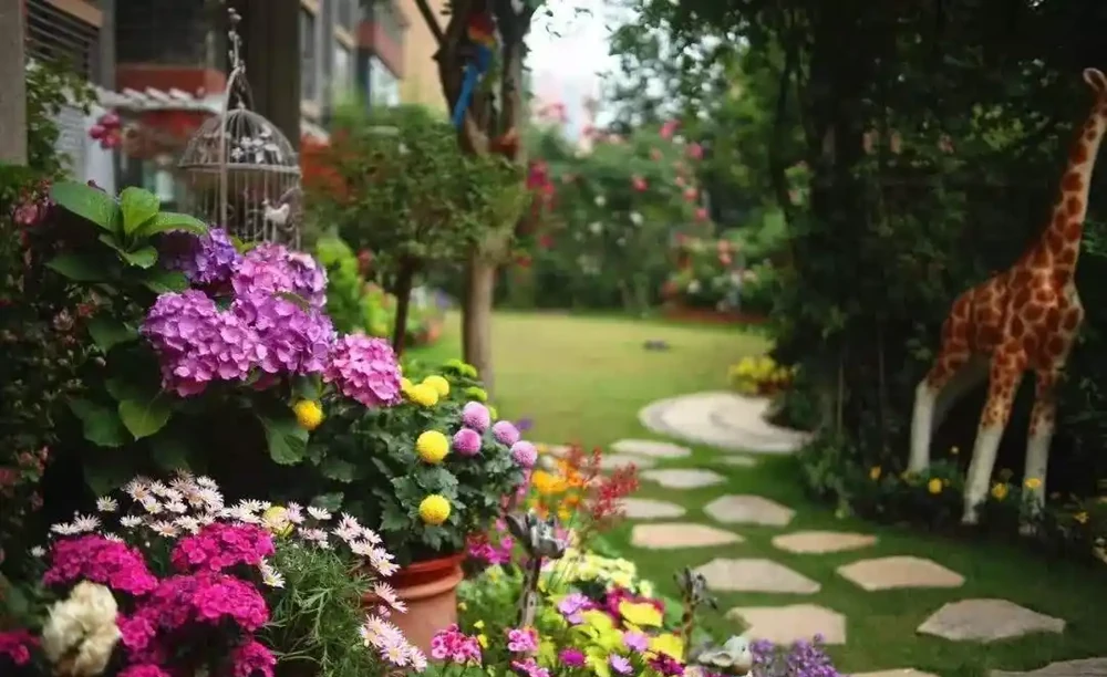 從多角度看,家裡養花太多了好不好?