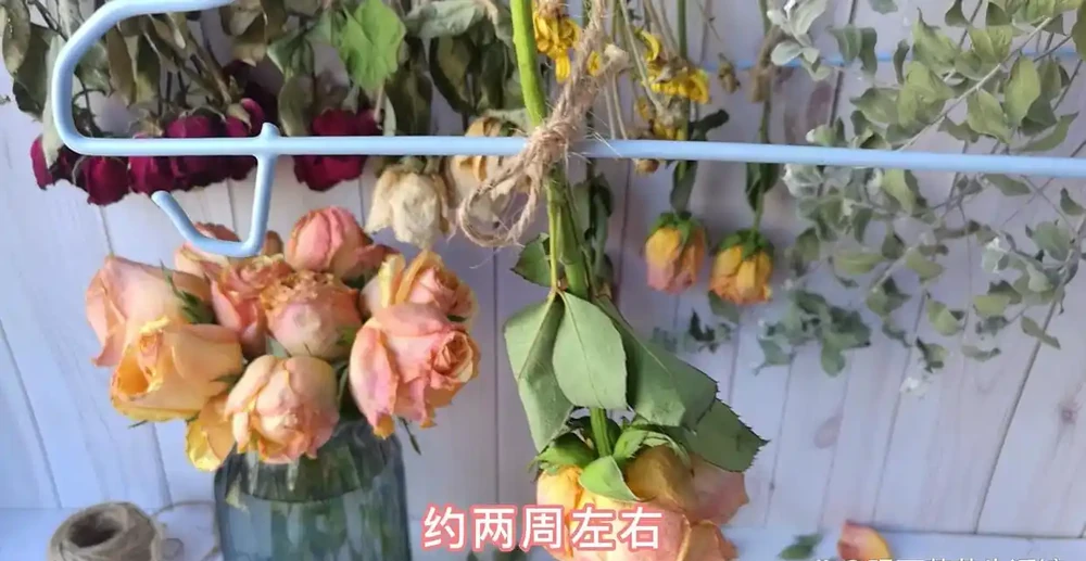 3種簡單方案讓枯萎的鮮花,再次美極了