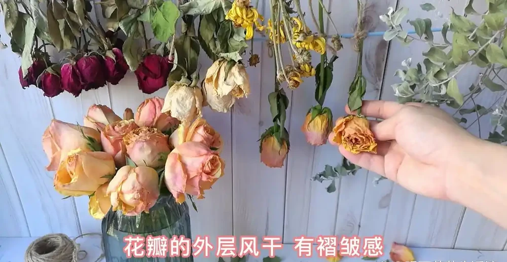 3種簡單方案讓枯萎的鮮花,再次美極了