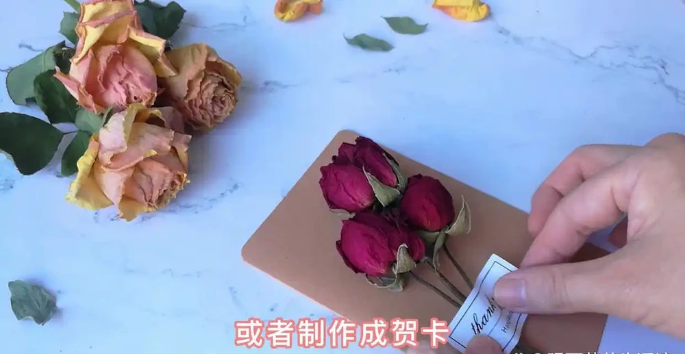 3種簡單方案讓枯萎的鮮花,再次美極了