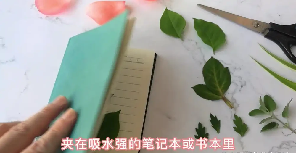 3種簡單方案讓枯萎的鮮花,再次美極了