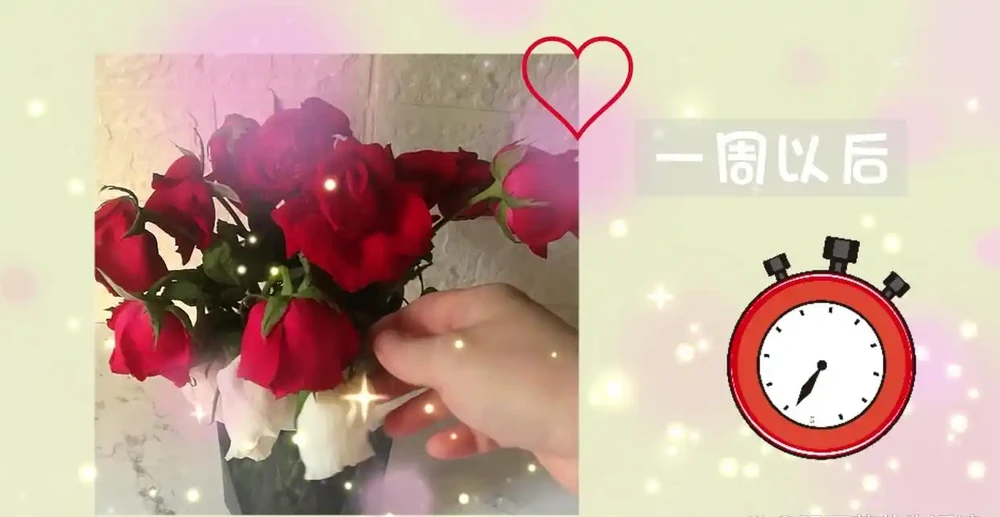 3種簡單方案讓枯萎的鮮花,再次美極了