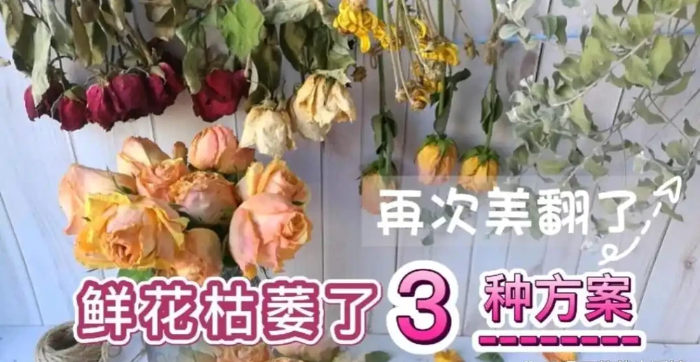 3種簡單方案讓枯萎的鮮花,再次美極了