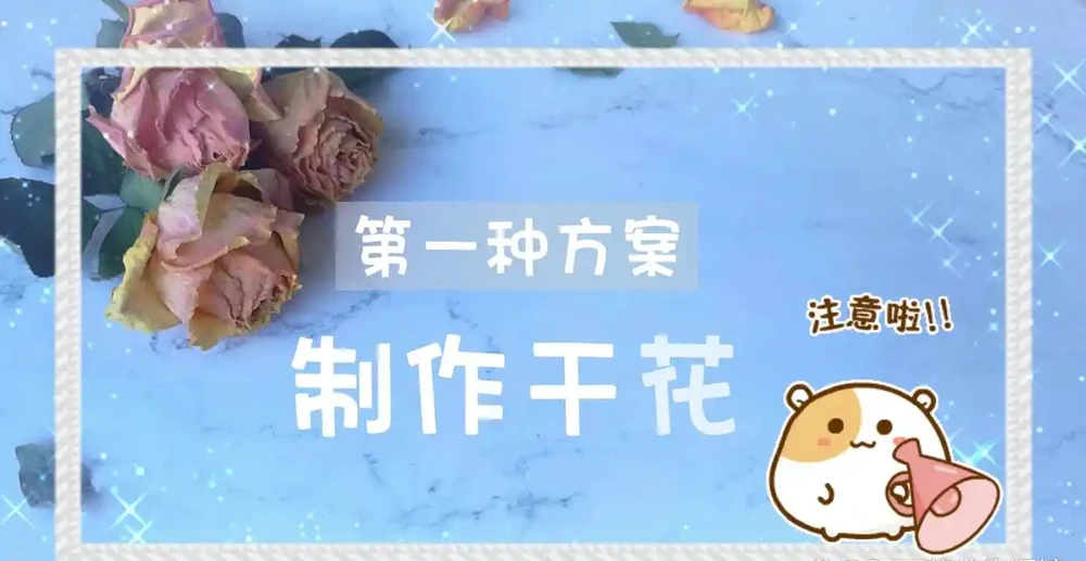 3種簡單方案讓枯萎的鮮花,再次美極了