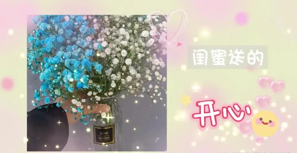 3種簡單方案讓枯萎的鮮花,再次美極了