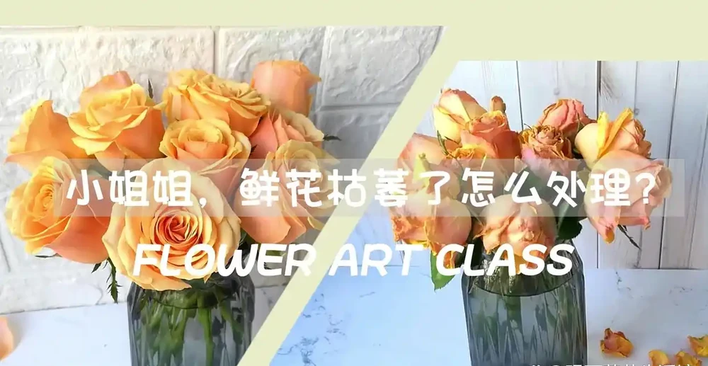 3種簡單方案讓枯萎的鮮花,再次美極了