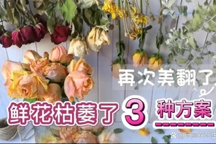 3種簡單方案讓枯萎的鮮花，再次美極了