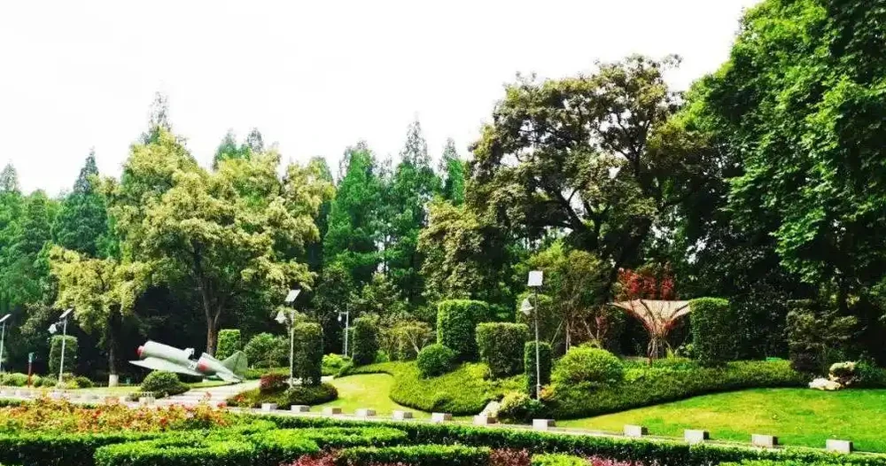 園林常用植物品種都有哪些?