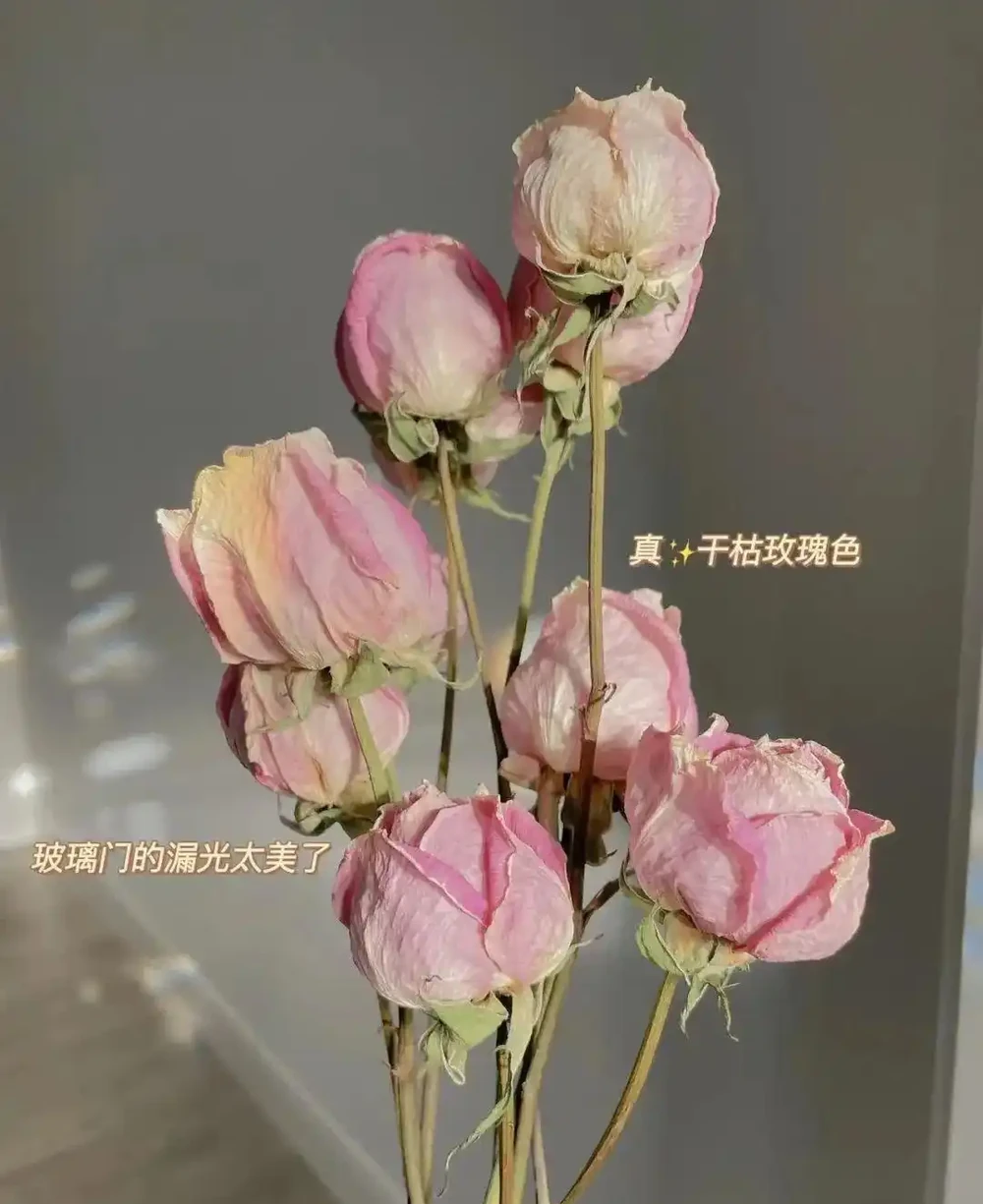 收到的玫瑰花不要丟!教你3個小招數,將浪漫珍藏~