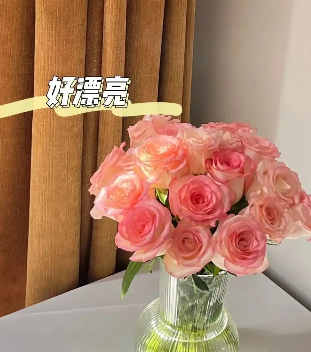 收到的玫瑰花不要丟!教你3個小招數,將浪漫珍藏~