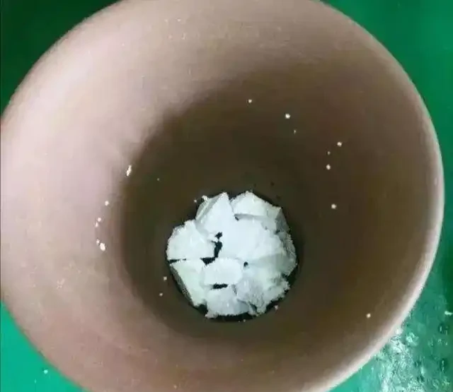 給花草換盆,用6種「小垃圾」墊盆底,防止土壤露出,又透水透氣