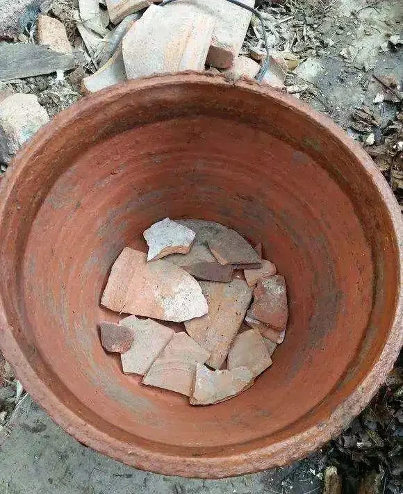 給花草換盆,用6種「小垃圾」墊盆底,防止土壤露出,又透水透氣