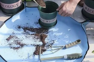 給花草換盆，用6種「小垃圾」墊盆底，防止土壤露出，又透水透氣