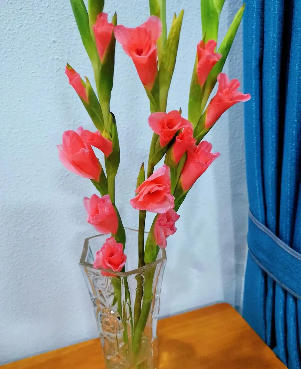 開花期超長的瓶插鮮花