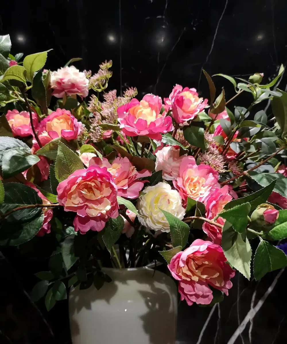 玫瑰怎麼養?盆栽玫瑰花的養殖方法和注意事項